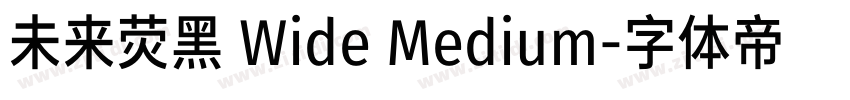 未来荧黑 Wide Medium字体转换